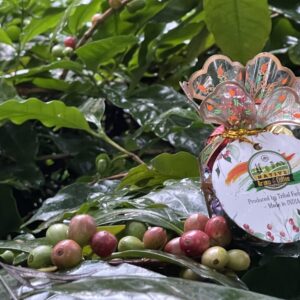 PREMIUM ARAKU COFFEE CHOCOLATE - Image 2